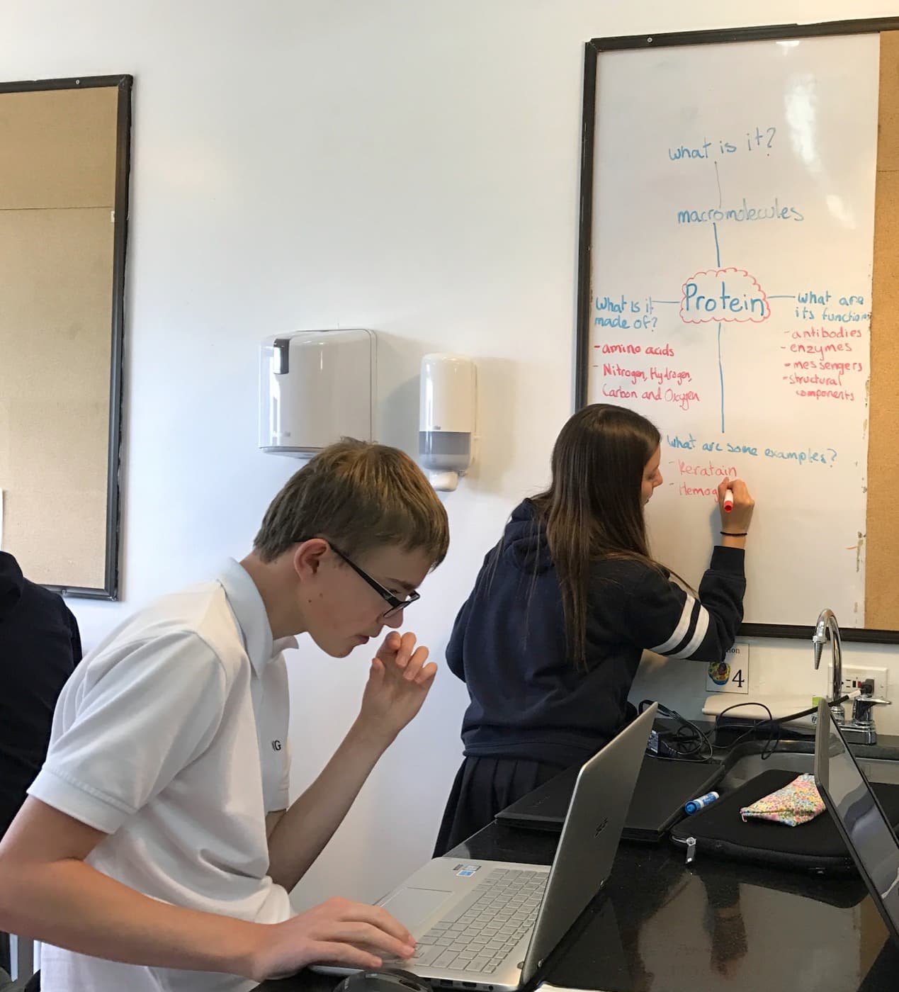Students working at a lab bench while a classmate maps out protein structure on the whiteboard.